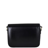 Celine Triomphe Crossbody Medium Back