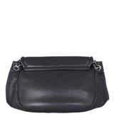 Chanel Half Moon Flap Bag Back