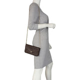 Louis Vuitton Pochette Felicie Monogram Mannequin
