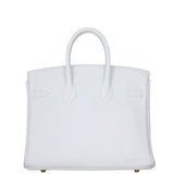 Hermes Birkin 25 Togo Back