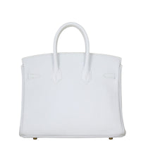 Hermes Birkin 25 Togo Back