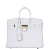 Hermes Birkin 25 Togo Front