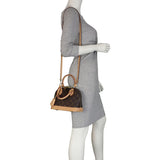 Louis Vuitton Alma BB Monogram Mannequin