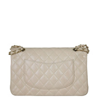 Chanel Classic Double Flap Medium Back
