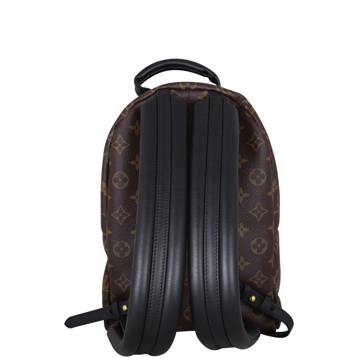 Louis Vuitton Palm Springs Backpack PM Reverse Monogram Back