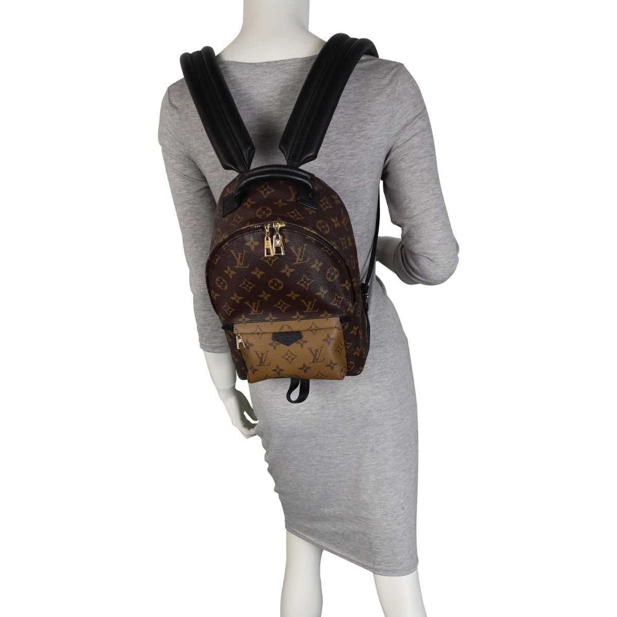 Louis Vuitton Palm Springs Backpack PM Reverse Monogram Mannequin