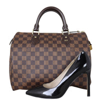 Louis Vuitton Speedy 30 Damier Ebene Shoe