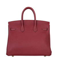 Hermes Birkin 25 Togo Back