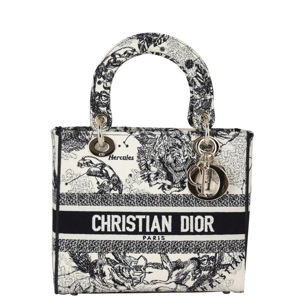 Dior Lady D-Lite Medium Toile de Jouy Zodiac Front