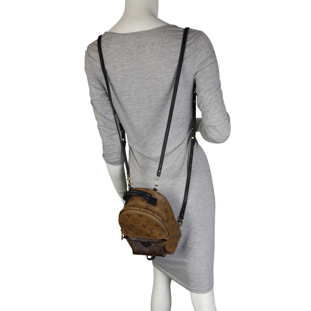 Louis Vuitton Palm Springs Mini Backpack Monogram Reverse Mannequin