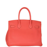 Hermes Birkin 30 Togo Back