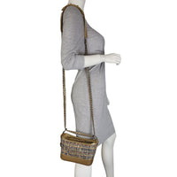 Chanel Gabrielle Tweed Hobo Small Mannequin