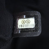 Chanel VIP Iridescent Flap Bag