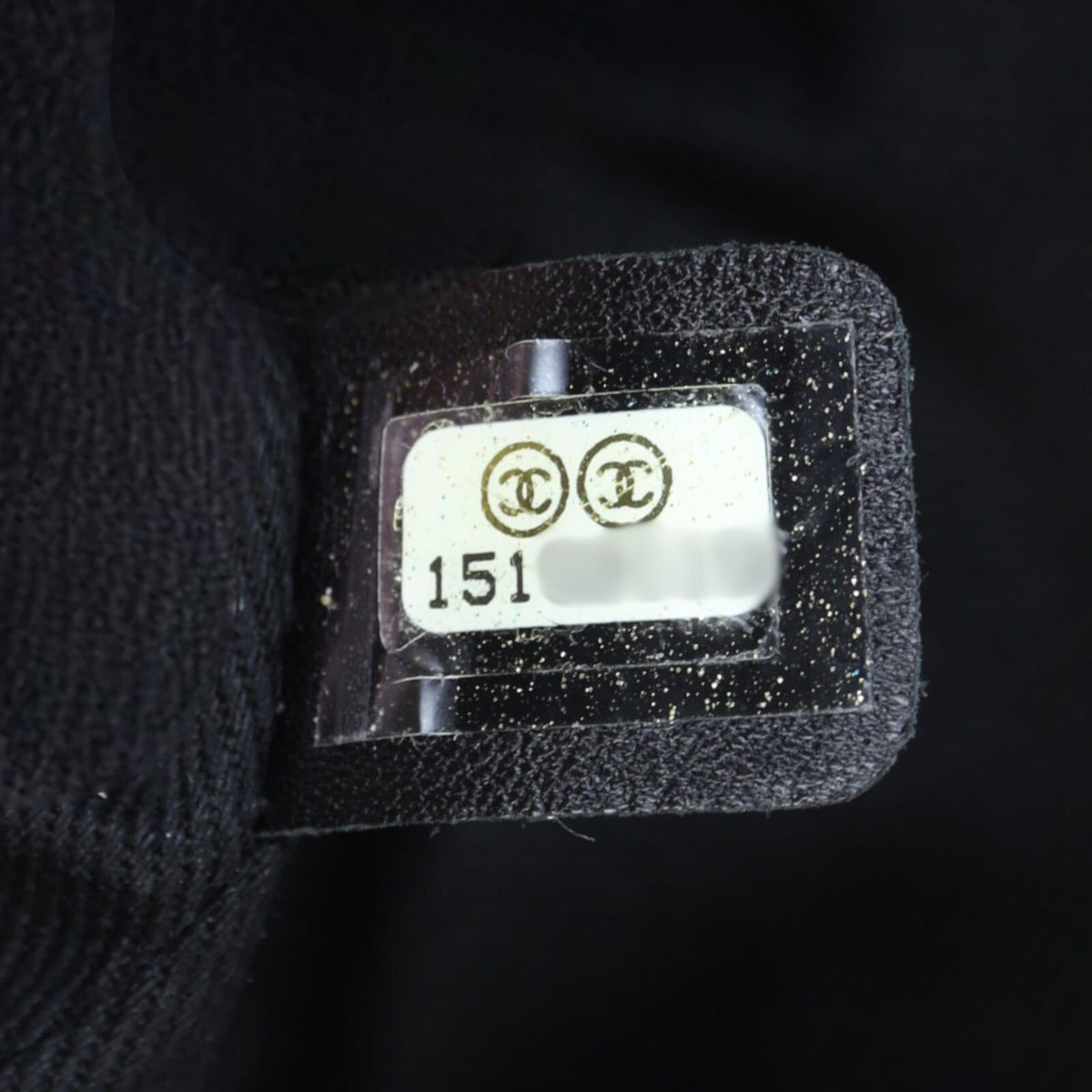 Chanel VIP Iridescent Flap Bag