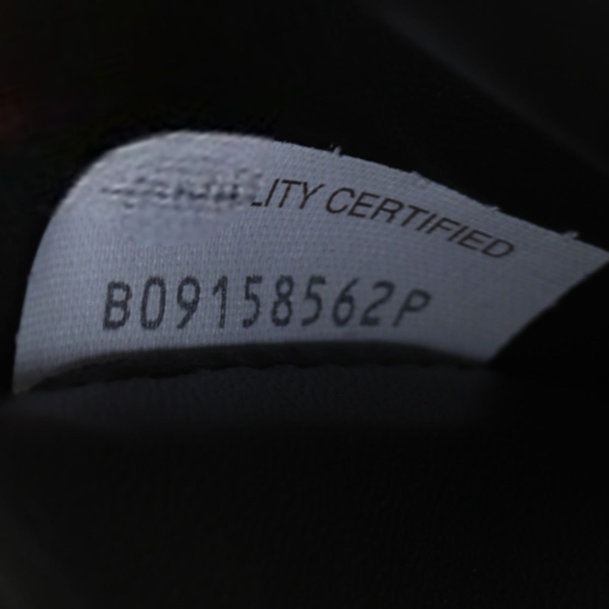 Bottega Veneta Cassette Bag