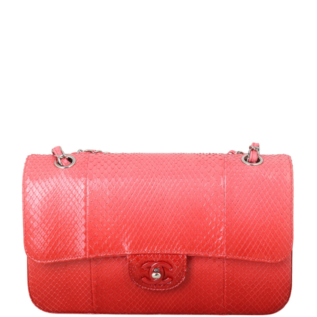 Chanel Classic Double Flap Medium Python Ombre