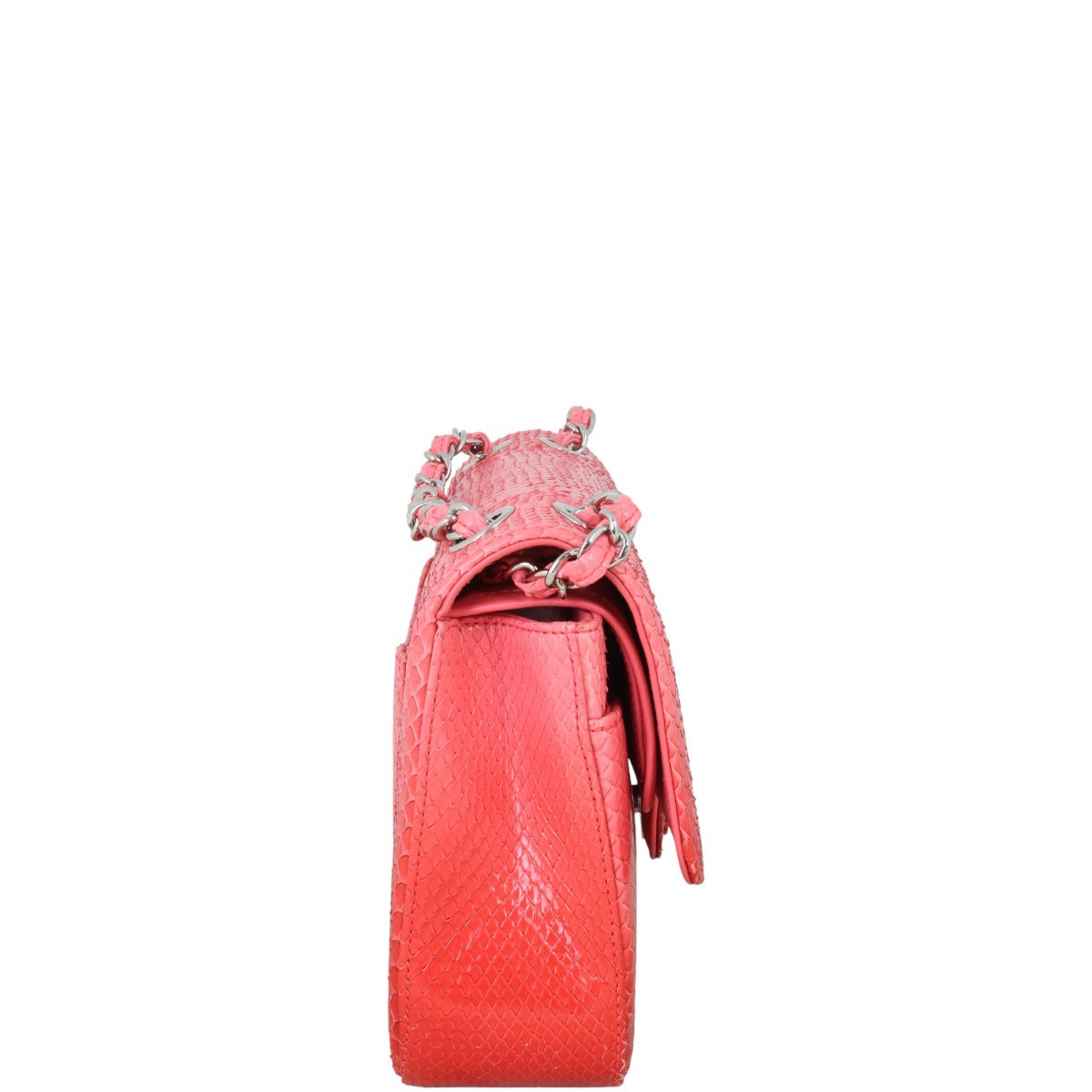 Chanel Classic Double Flap Medium Python Ombre