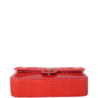 Chanel Classic Double Flap Medium Python Ombre