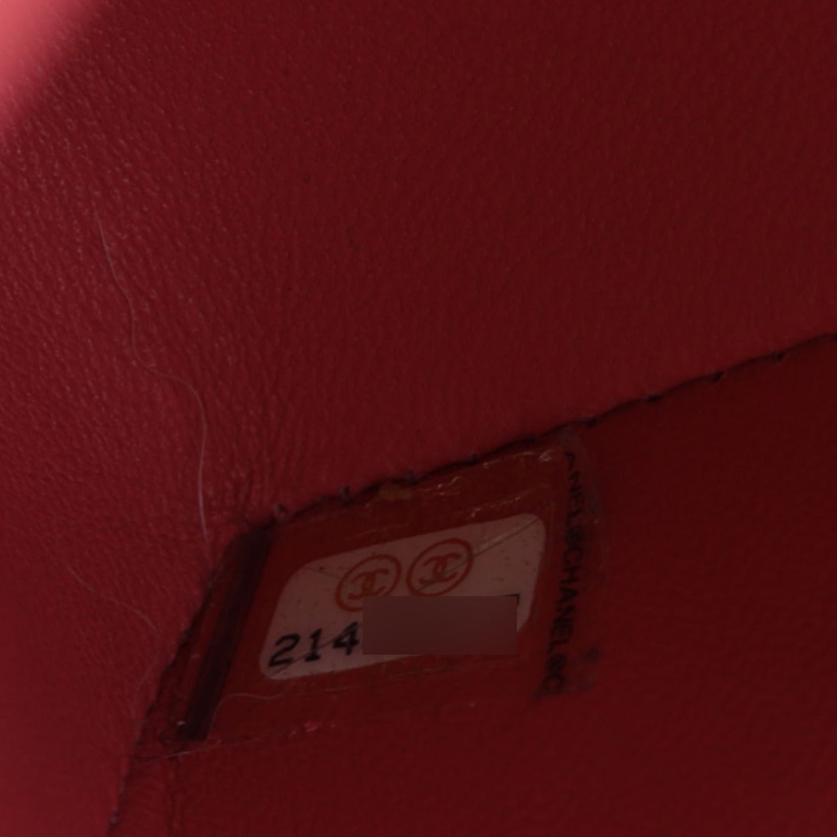 Chanel Classic Double Flap Medium Python Ombre