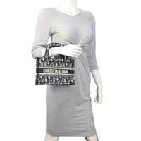 Dior Book Tote Mini