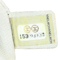 Chanel Chain Around Bag Mini