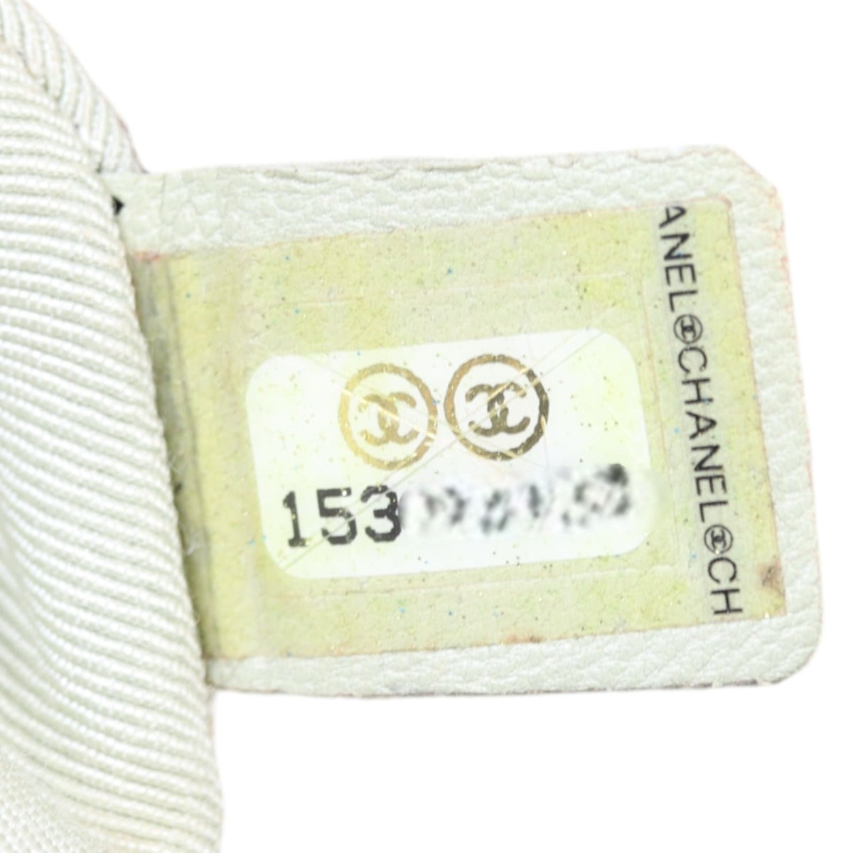 Chanel Chain Around Bag Mini