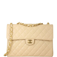 Chanel CC Single Flap Bag