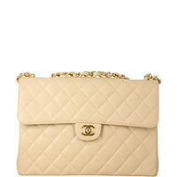 Chanel CC Single Flap Bag