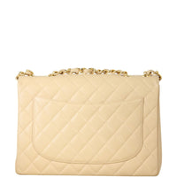 Chanel CC Single Flap Bag