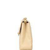 Chanel CC Single Flap Bag