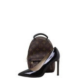 Louis Vuitton Palm Springs Mini Backpack Monogram