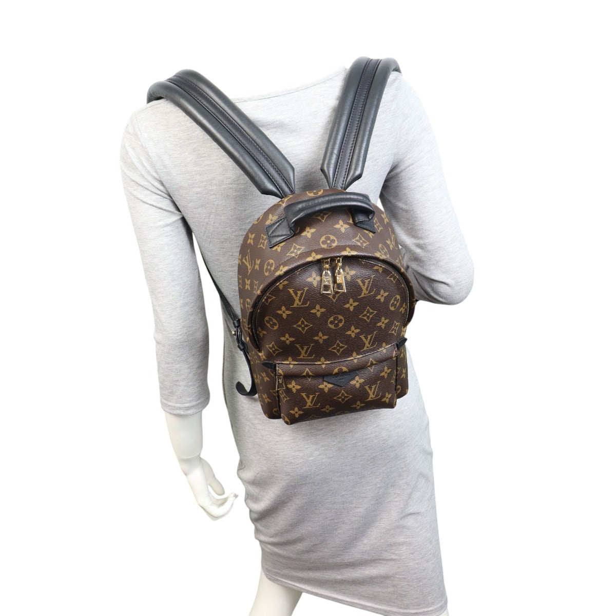 Louis Vuitton Palm Springs Backpack PM Monogram