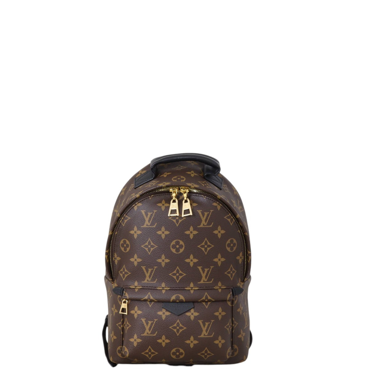 Louis Vuitton Palm Springs Backpack PM Monogram