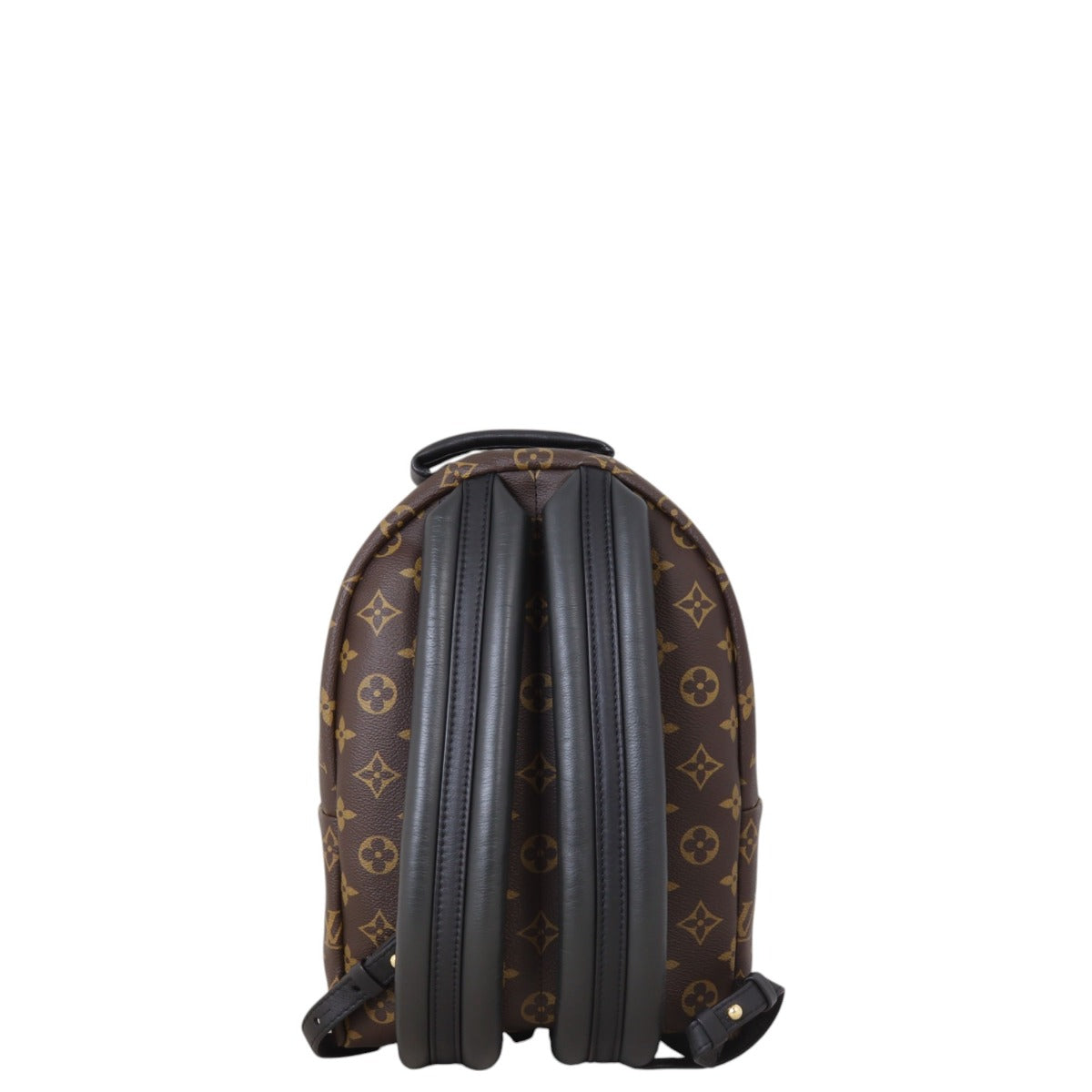 Louis Vuitton Palm Springs Backpack PM Monogram