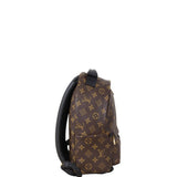 Louis Vuitton Palm Springs Backpack PM Monogram