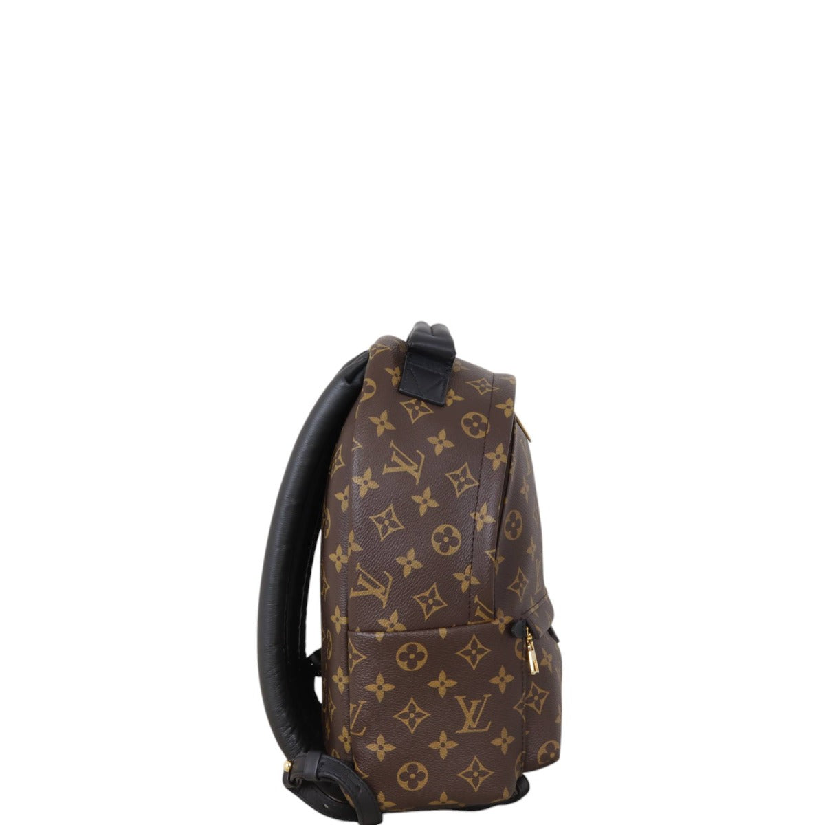 Louis Vuitton Palm Springs Backpack PM Monogram