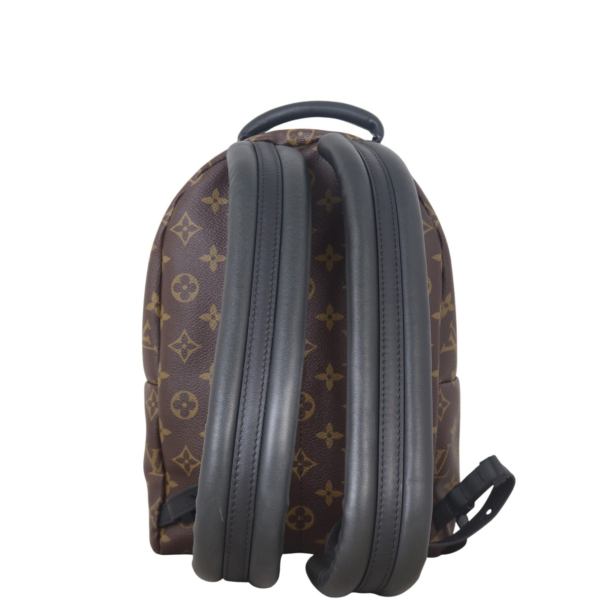 Louis Vuitton Palm Springs Backpack PM Monogram
