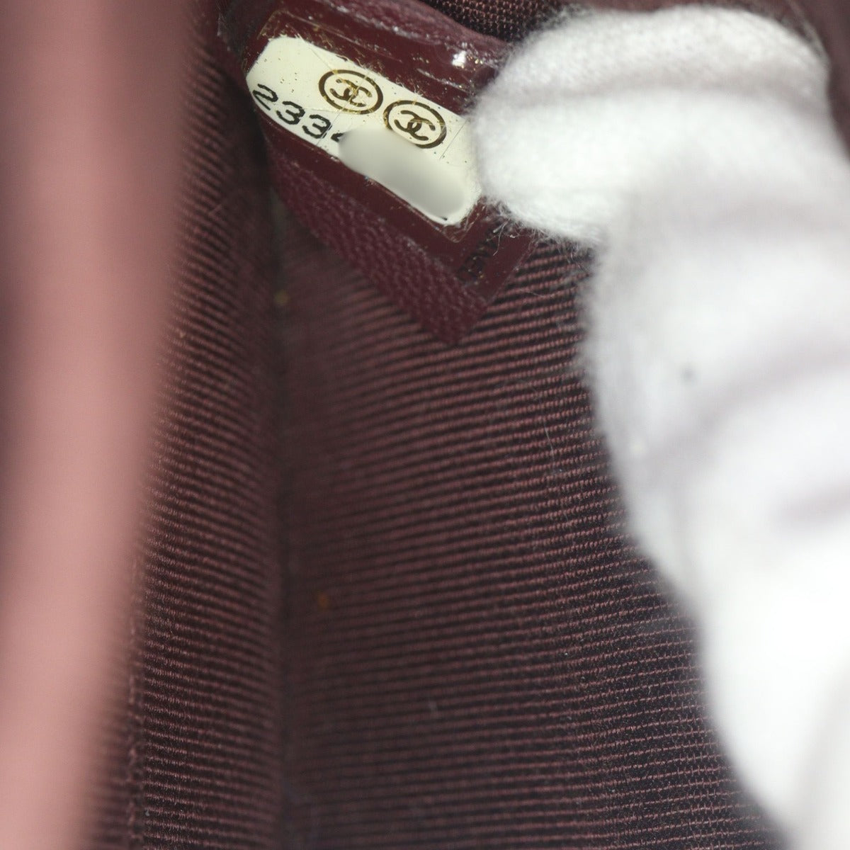 Chanel Ballerine Flap Bag