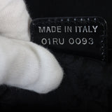 Dior Vintage Saddle Sequins