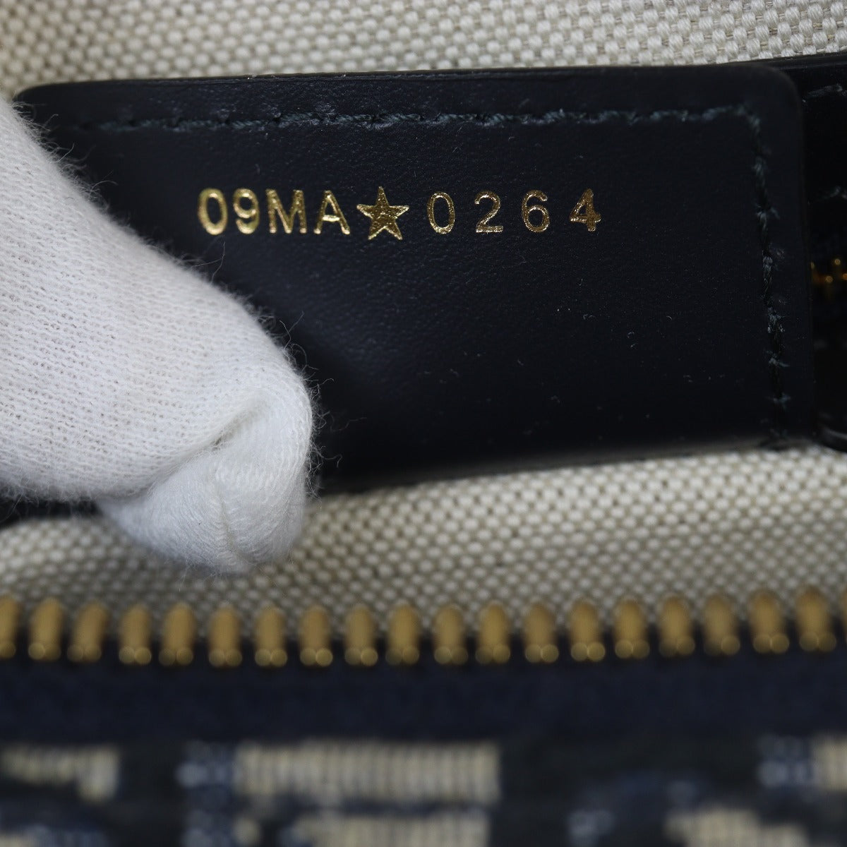 Dior Groove 25 Bag Oblique