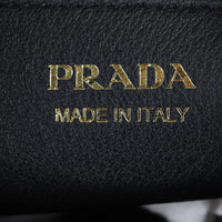 Prada Vitello Daino Darling Bag