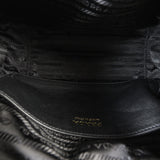 Prada Vitello Daino Darling Bag