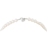 Tiffany & Co Essential Akoya Pearl Necklace