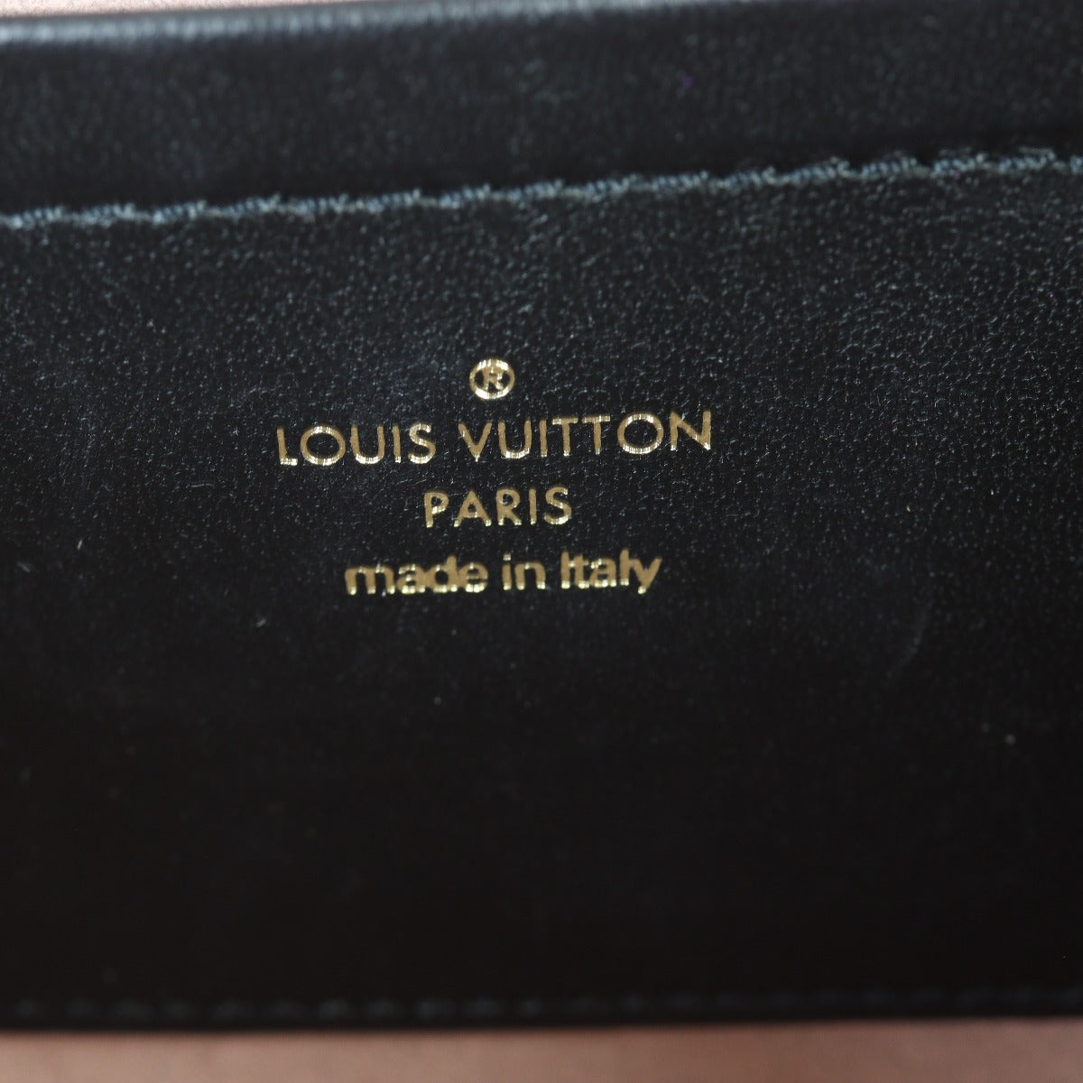 Louis Vuitton Pochette Coussin Monogram Embossed Lambskin