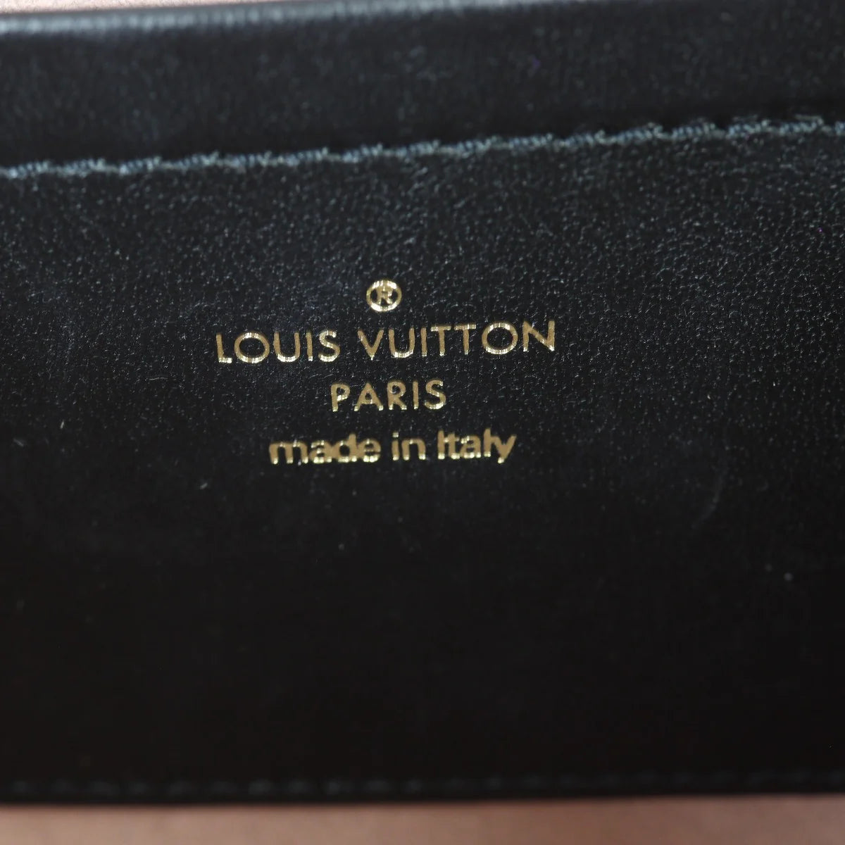 Louis Vuitton Pochette Coussin Monogram Embossed Lambskin