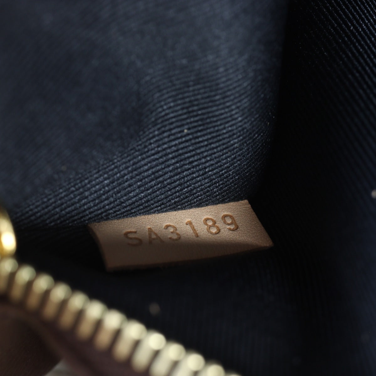 Louis Vuitton Bum Bag Monogram