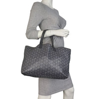 Goyard St Louis PM Goyardine