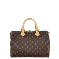 Louis Vuitton Speedy Soft 30 Crafty