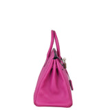 Hermes Birkin 25 Togo