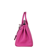 Hermes Birkin 25 Togo